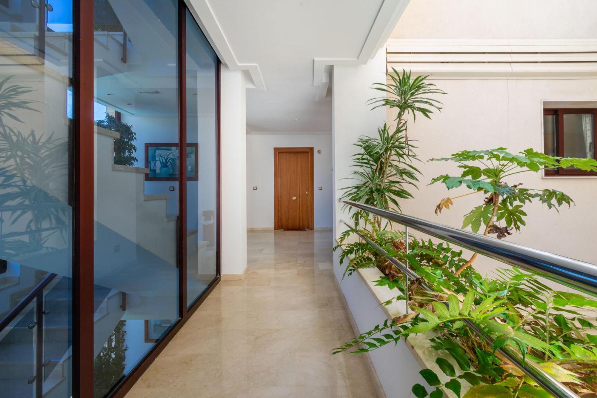 Apartamentos Albir Confort - Avenida 1 Dorm El Albir Kültér fotó